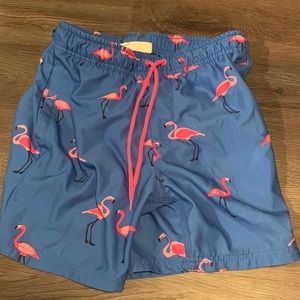 Blue flamingo swim shorts